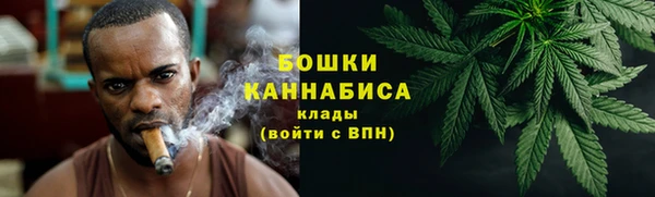 шишки Михайлов