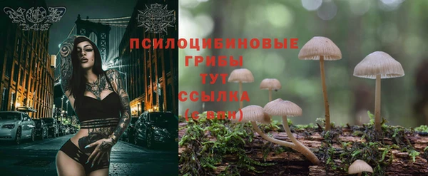 амфетамин Надым