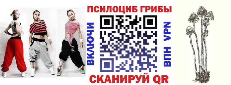 закладка  дарк нет клад  Галлюциногенные грибы Cubensis  Стерлитамак 