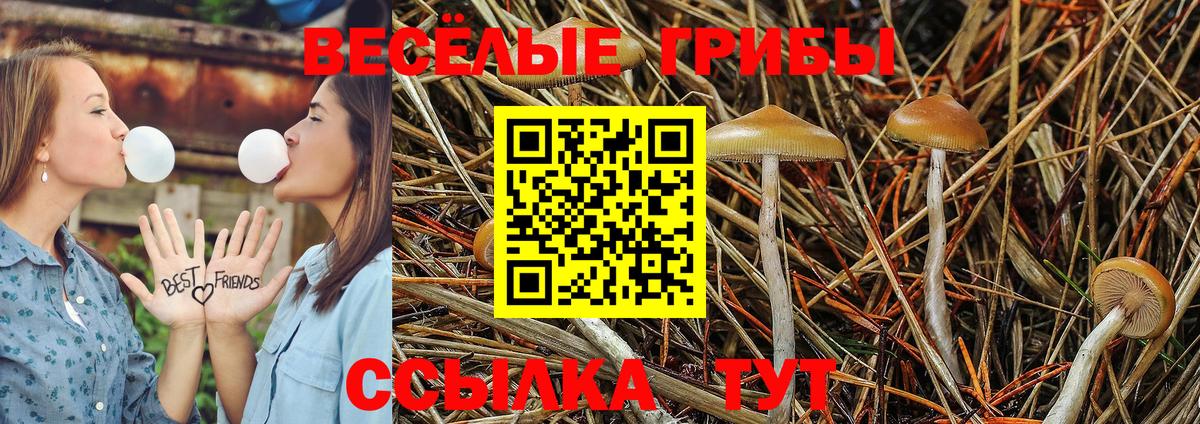 Галлюциногенные грибы Magic Shrooms  Стерлитамак 