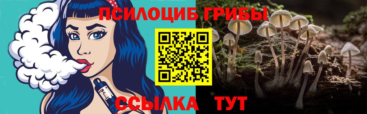 Галлюциногенные грибы Psilocybe Стерлитамак