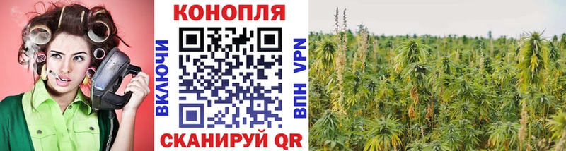 Шишки марихуана AK-47  где продают   Стерлитамак 